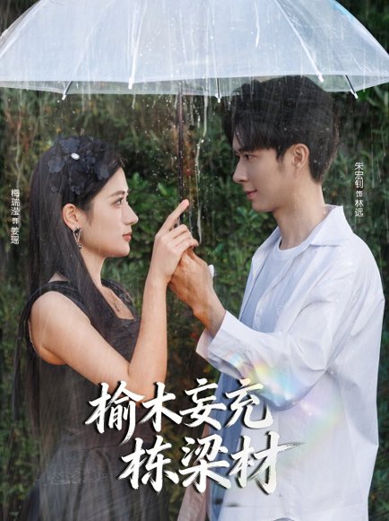 榆木妄充栋梁材（88集）朱宏钊＆梅瑞滢 高清完整版